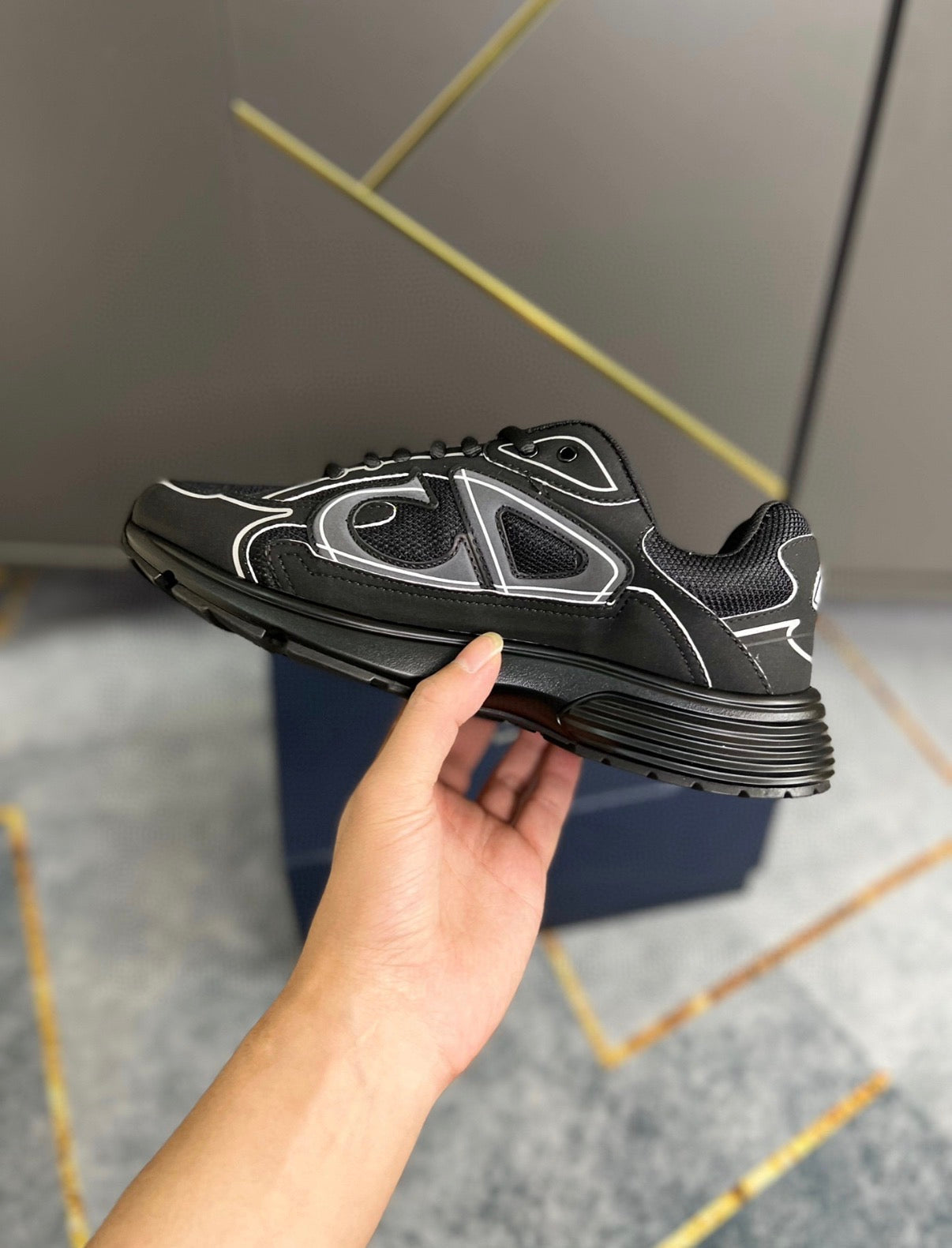 DIOR B30